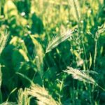 南宫pg的社区建设与居民生活质量 cw69mf6n