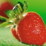 探索南宫棋下平台的多样化棋局选择 mr54k